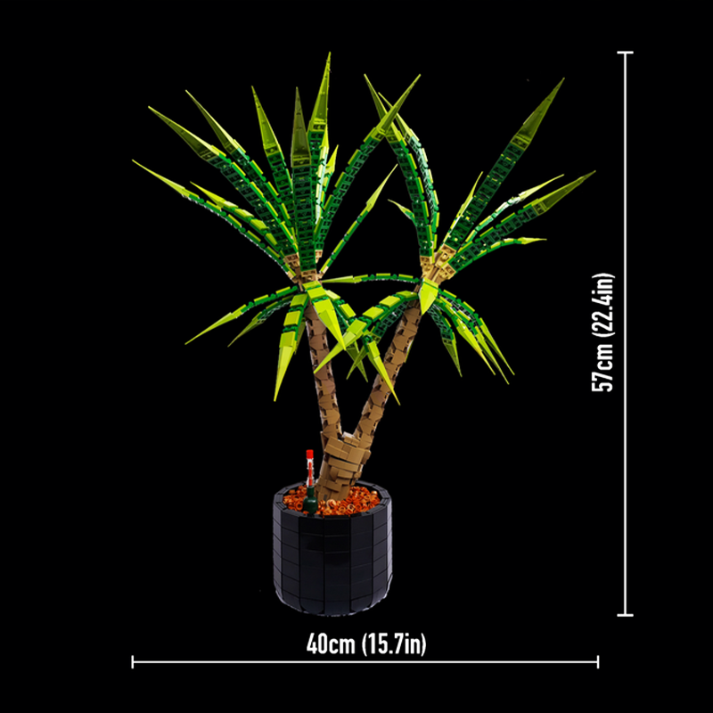 Dracaena Marginata - 1961 stukjes MOC Dracaena Marginata Drakenboom