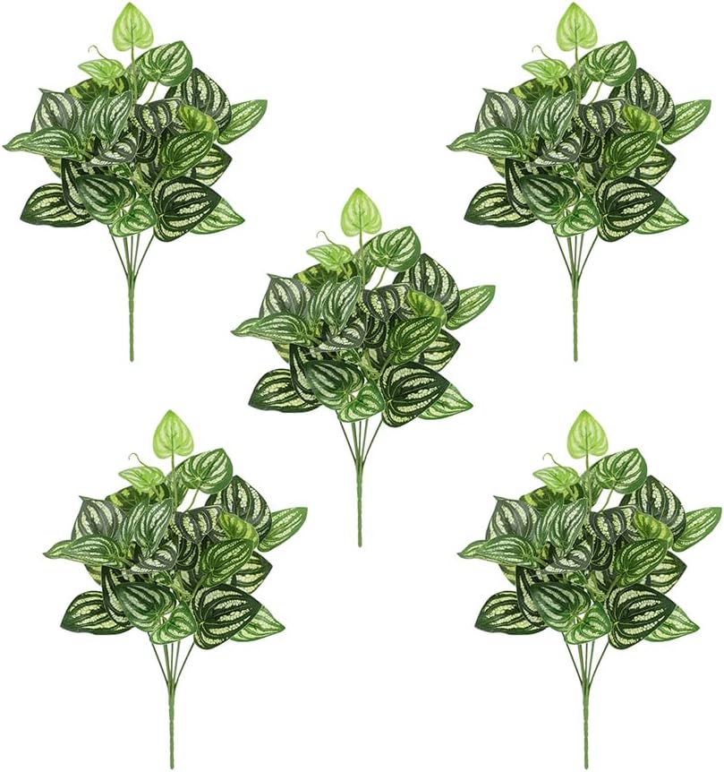 Peperomia Watermelon - 5 Stuks Watermeloen Peperomia Kunstplant 12.9