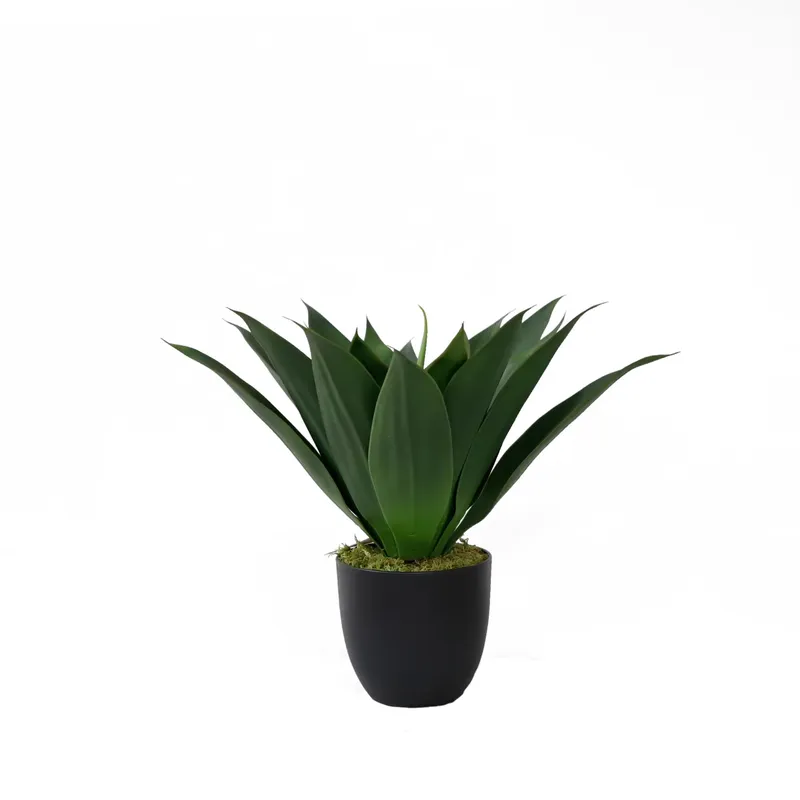 Aloe Vera Pot - Kunstmatige Aloë Vera plant in bonsai
