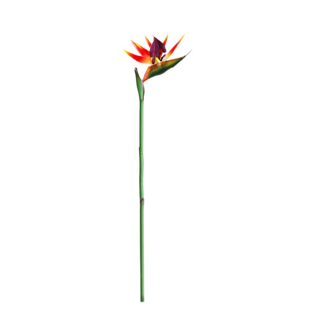 Kunstmatige Paradijsvogel met  - Bird Paradise Strelitzia recensie en prijs