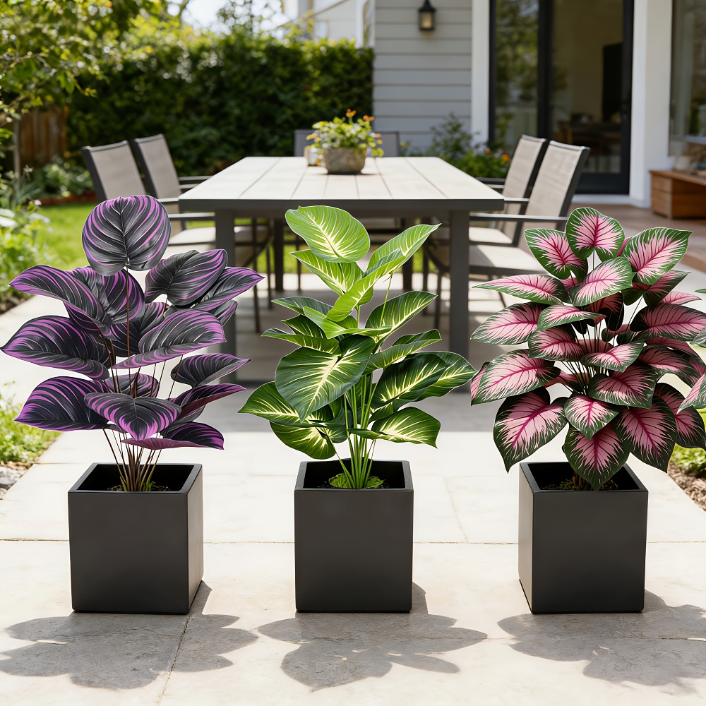 3-delige set met diverse grote - Ficus Lyrata Tree recensie en prijs