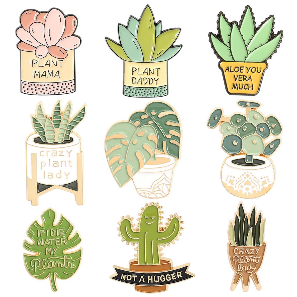 Potplant Broche Monstera Aloë  - Aloe Vera Pot recensie en prijs