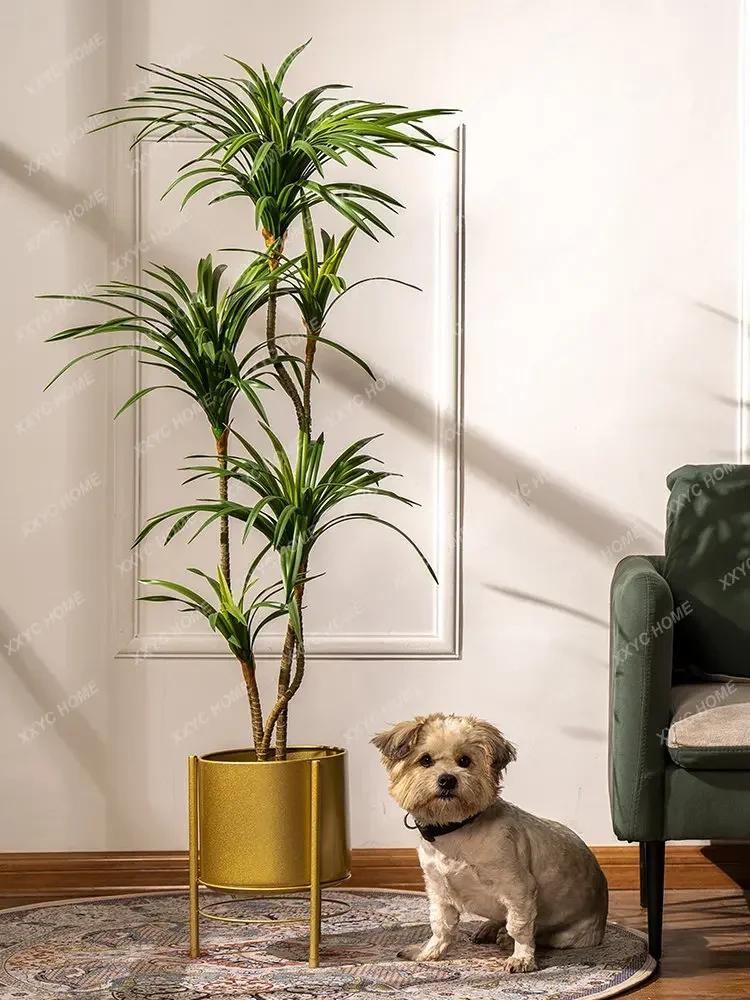 Simulatie Kleurrijke Paardenst - Dracaena Marginata recensie en prijs