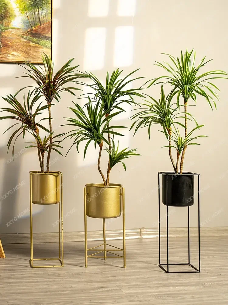 Simulatie Kleurrijke Paardenst - Dracaena Marginata recensie en prijs