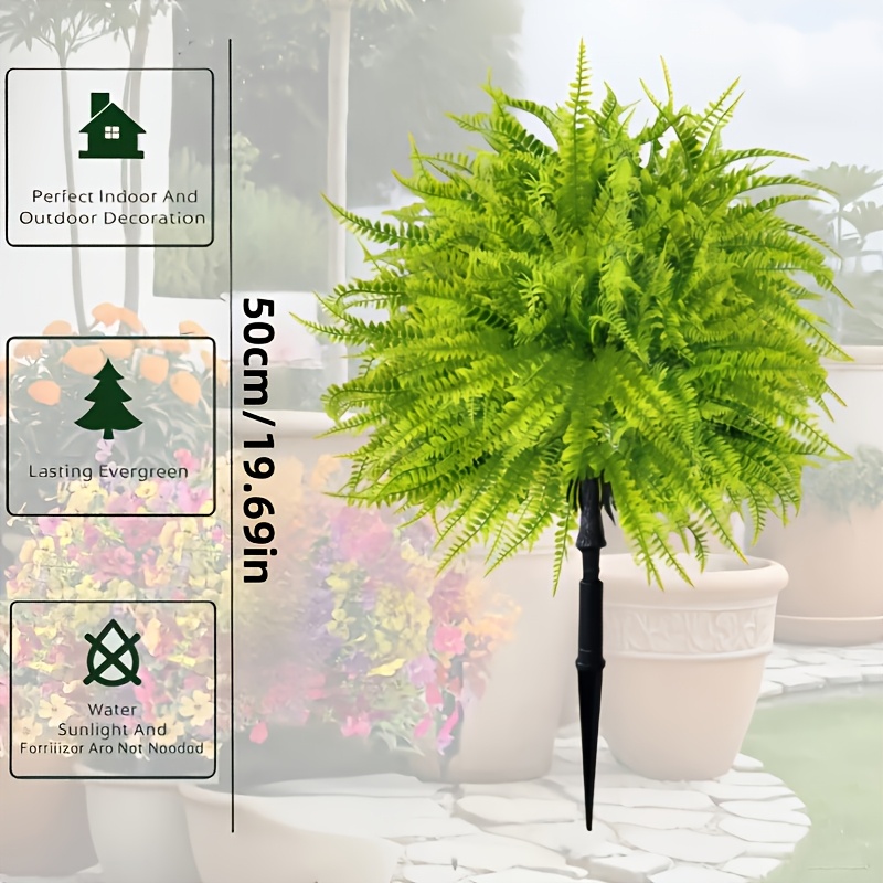 2 stuks - 44cm Varen Grondinse - Dracaena Marginata recensie en prijs