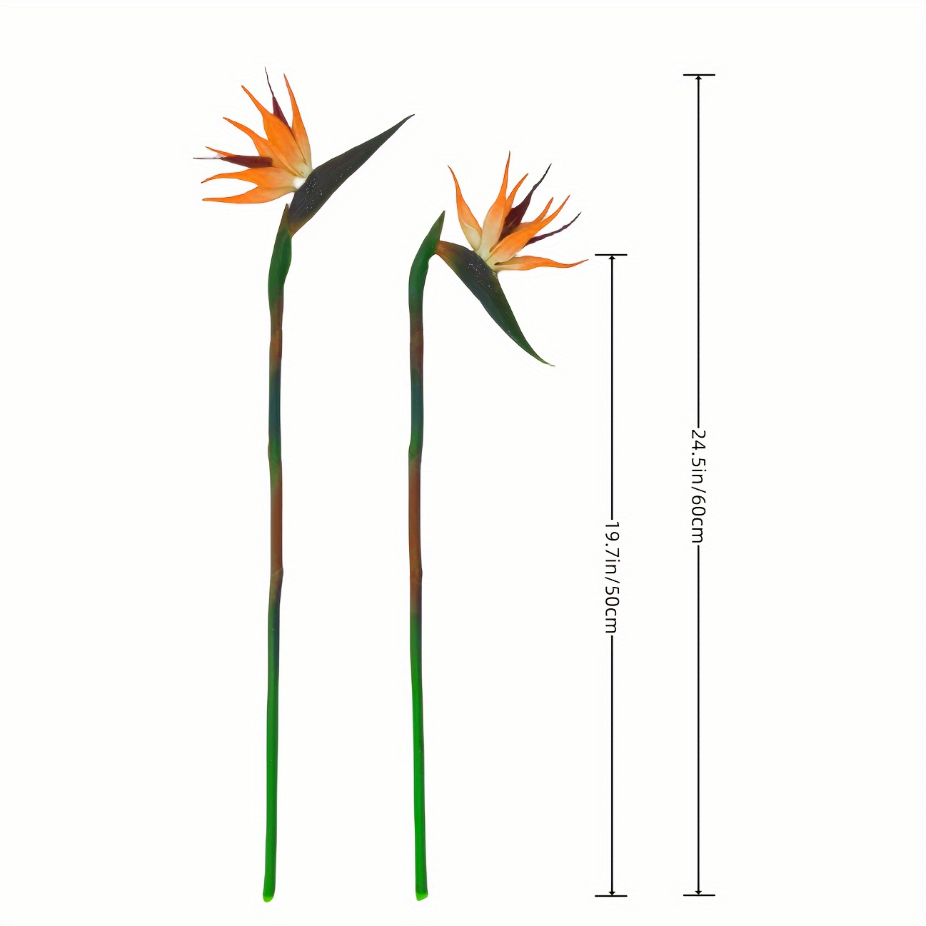 3 stuks kunstmatige hemelvogel - Bird Paradise Strelitzia recensie en prijs