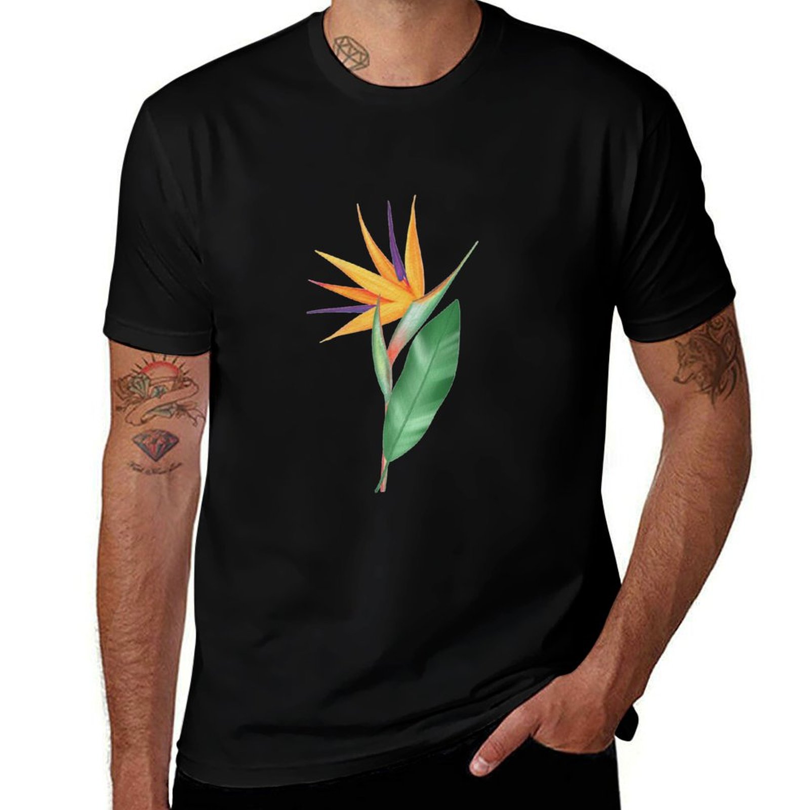 Aquarel paradijsvogelbloem of  - Bird Paradise Strelitzia recensie en prijs