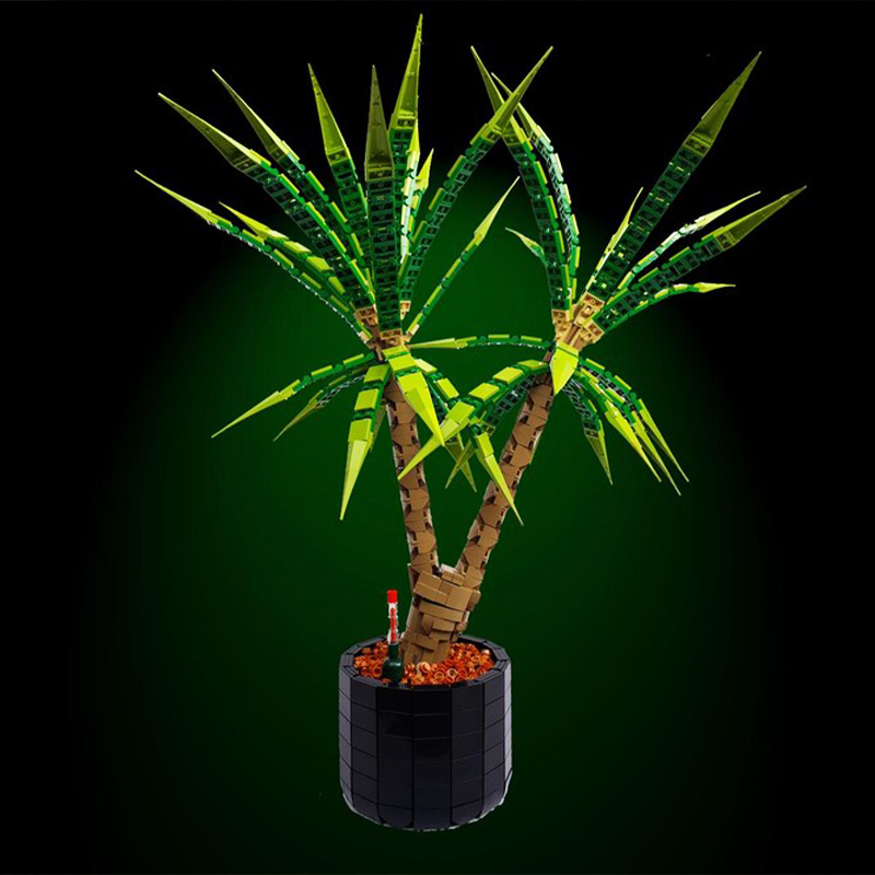 1961 stukjes MOC Dracaena Marg - Dracaena Marginata recensie en prijs