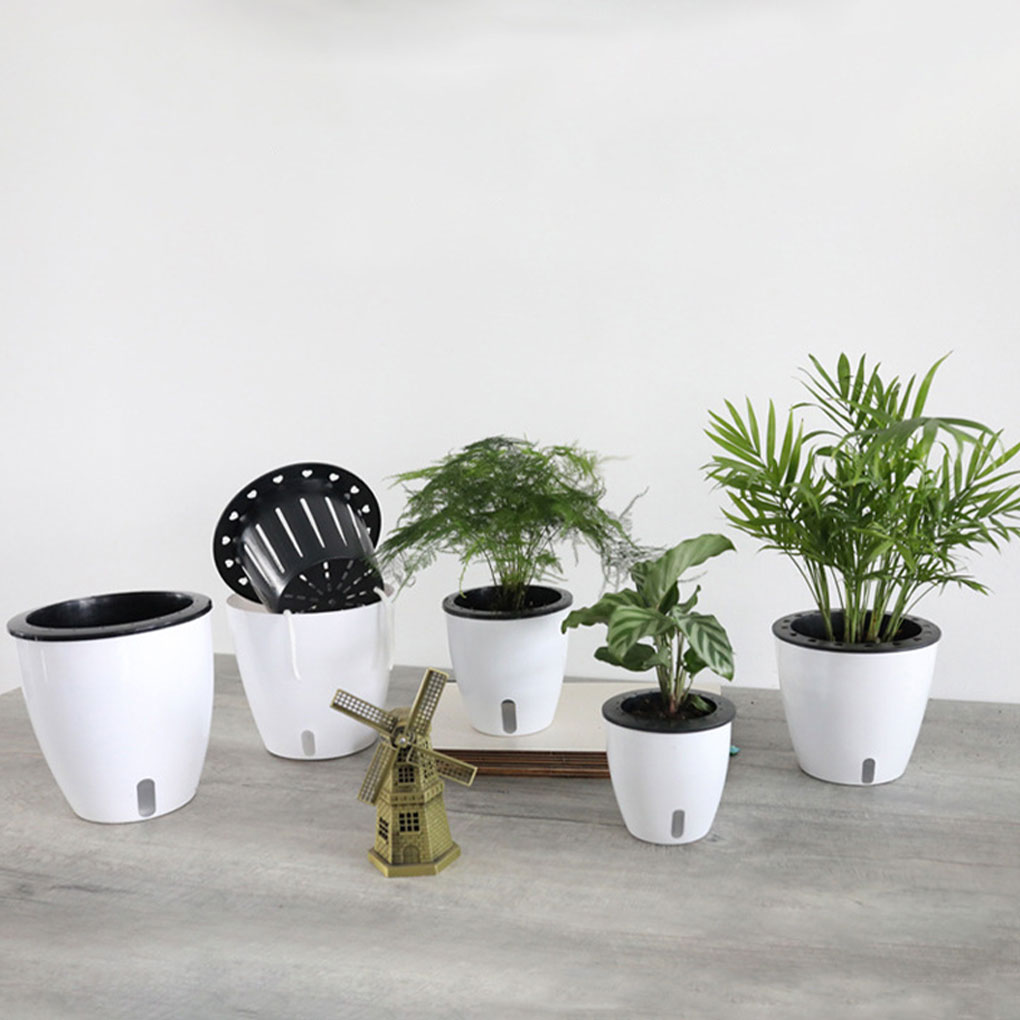Witte draagbare en milieuvrien - Aloe Vera Pot recensie en prijs