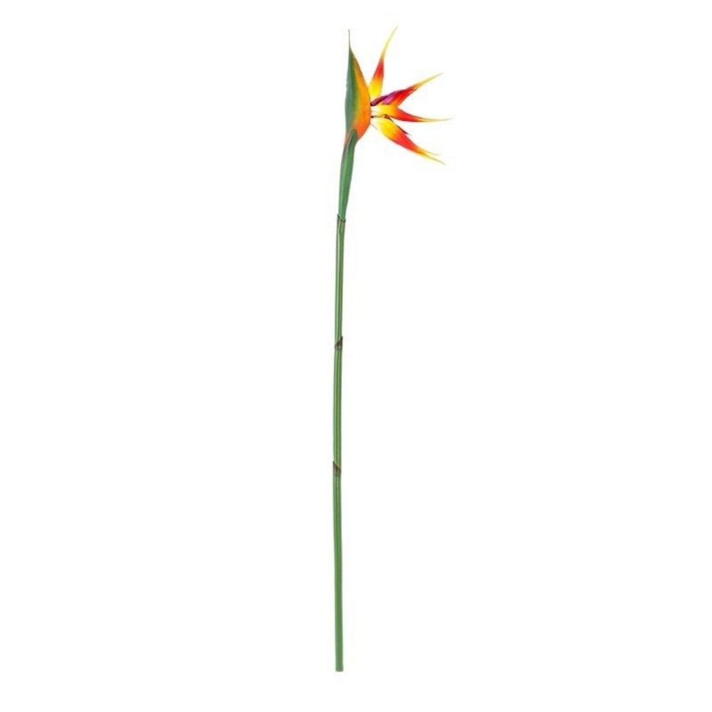 Lange steel kunstmatige Paradi - Bird Paradise Strelitzia recensie en prijs