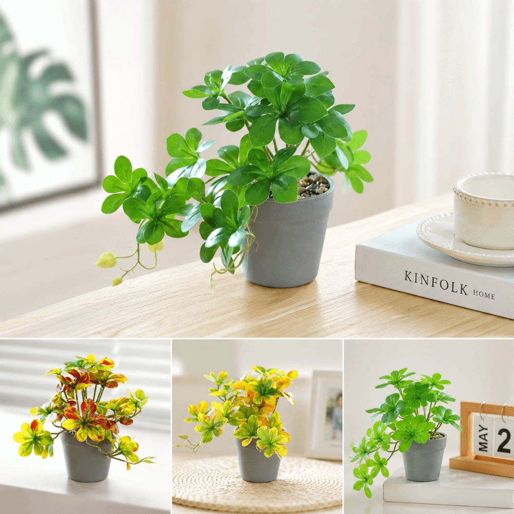 Bonsai Kunstmatige bonsaiplant - Spider Plant Hanging recensie en prijs