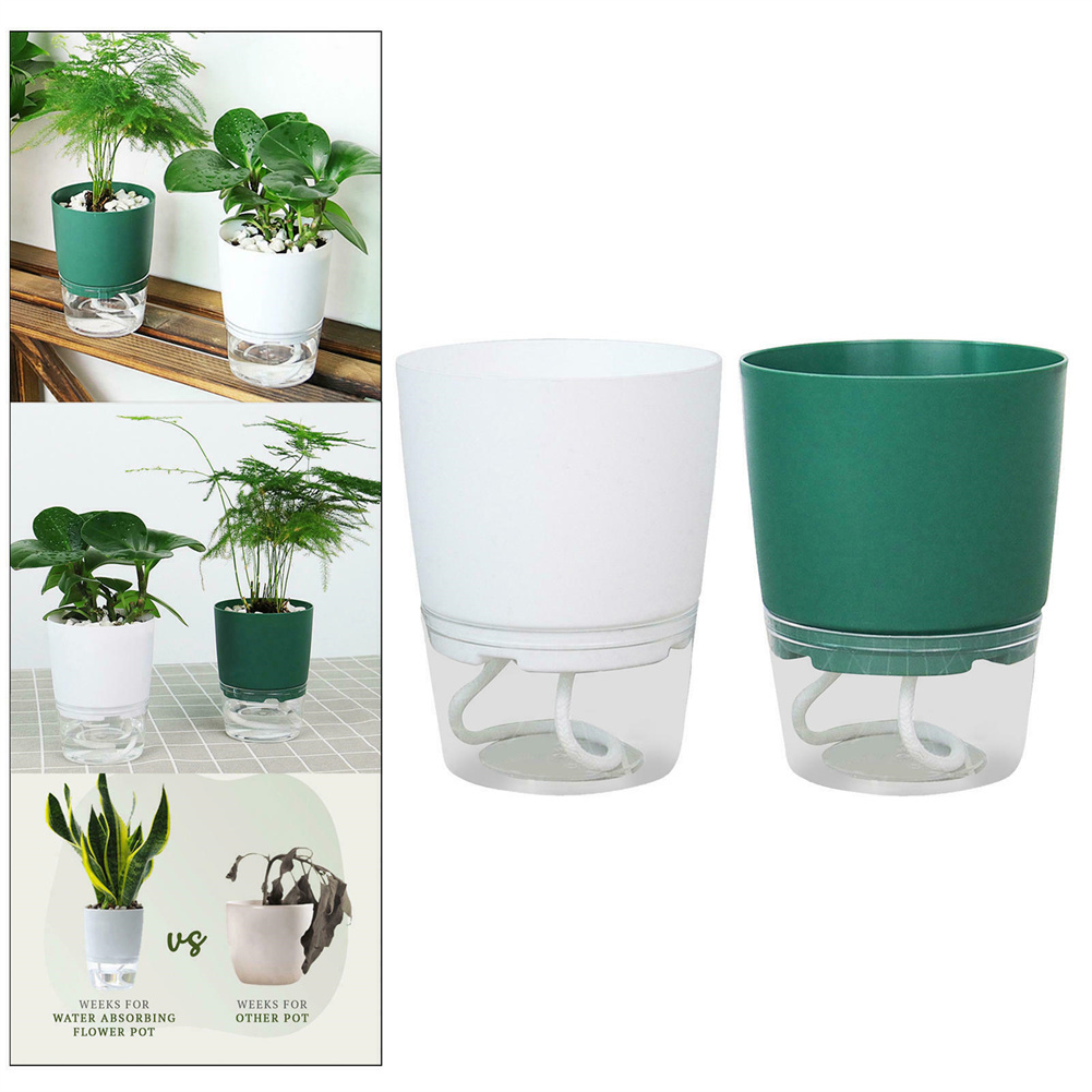 Luie Hydroponische Bloempot Au - Aloe Vera Pot recensie en prijs