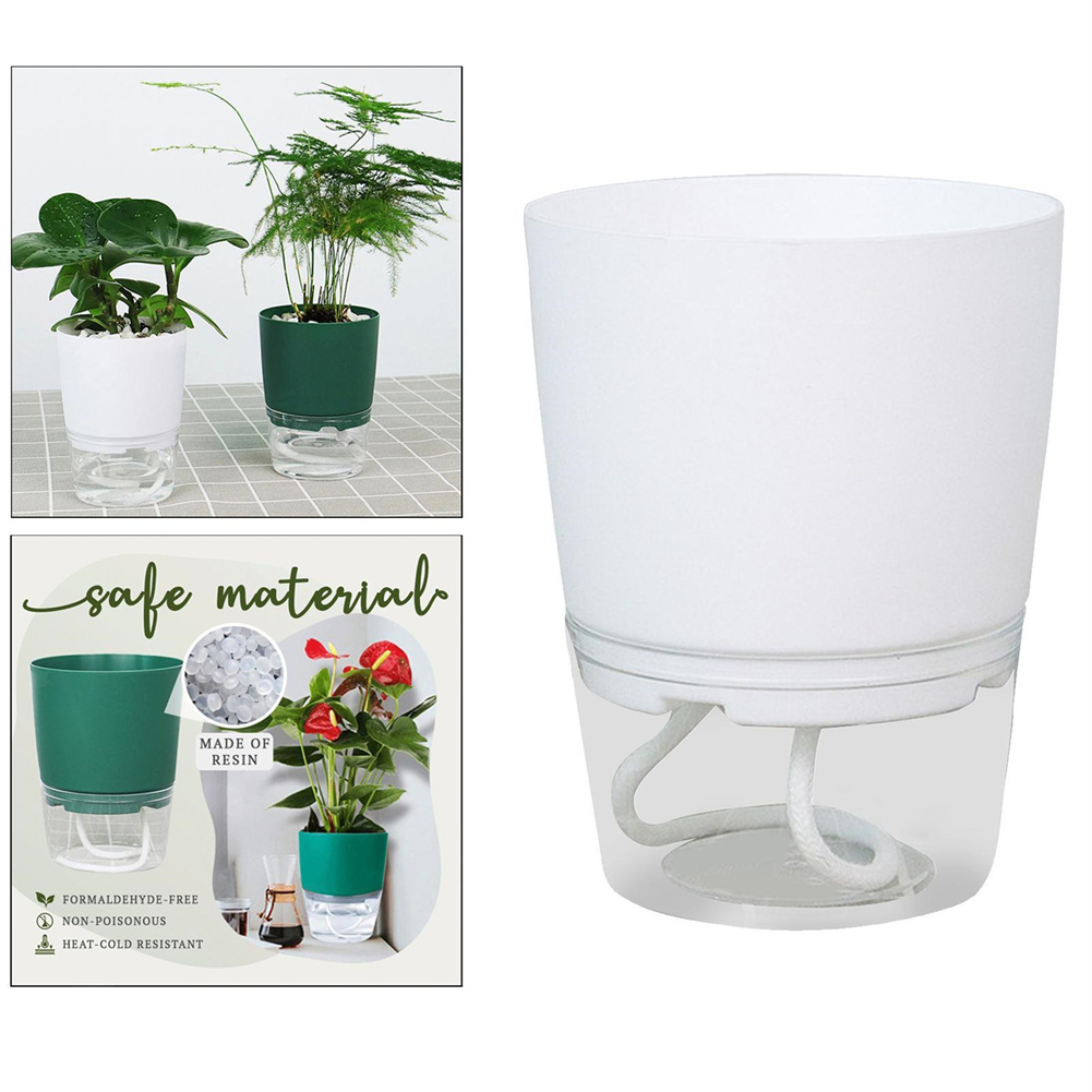 Luie Hydroponische Bloempot Au - Aloe Vera Pot recensie en prijs