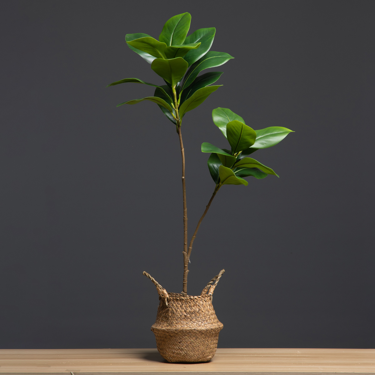 105 cm 2 Vorken Grote Kunstpla - Dracaena Marginata recensie en prijs