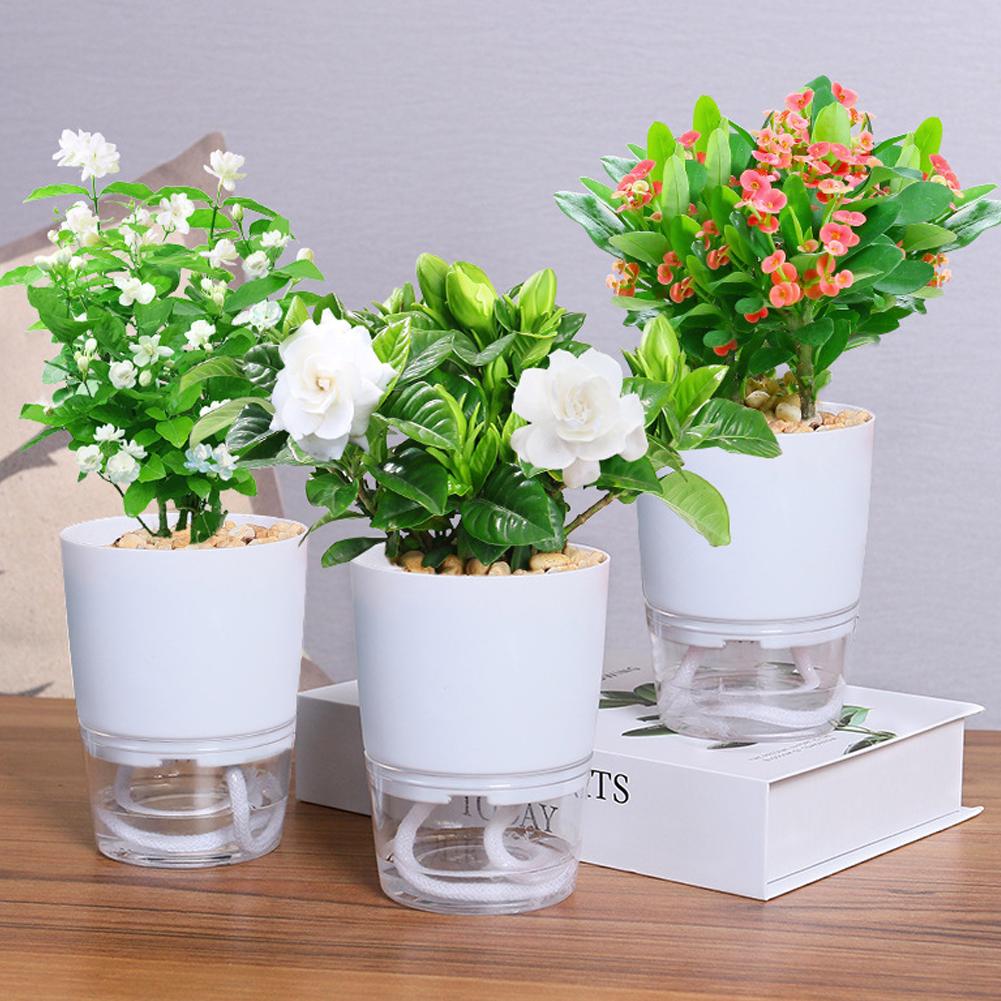 Zelfwatergevende Plastic Bloem - Aloe Vera Pot recensie en prijs