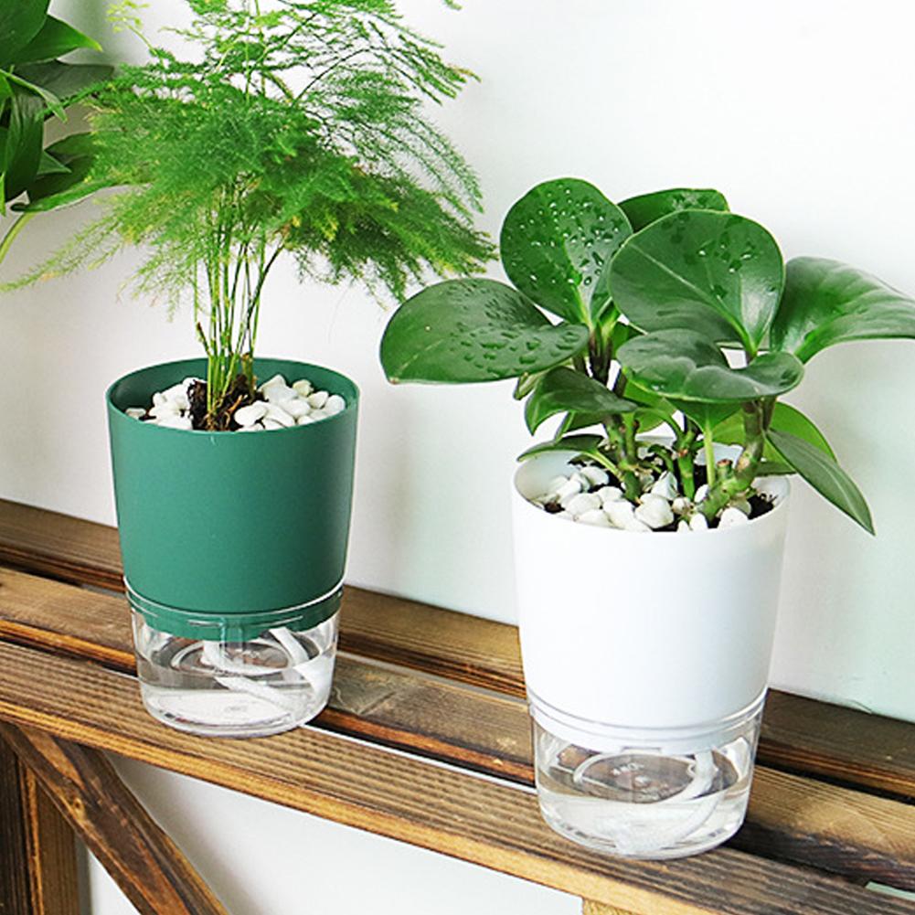 Zelfwatergevende Plastic Bloem - Aloe Vera Pot recensie en prijs