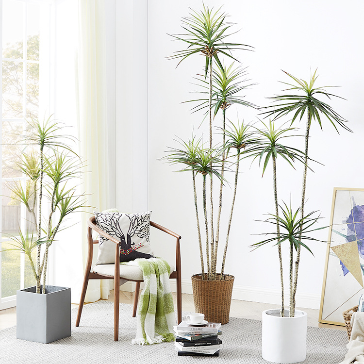Kunstmatige plastic ingemaakte - Dracaena Marginata recensie en prijs