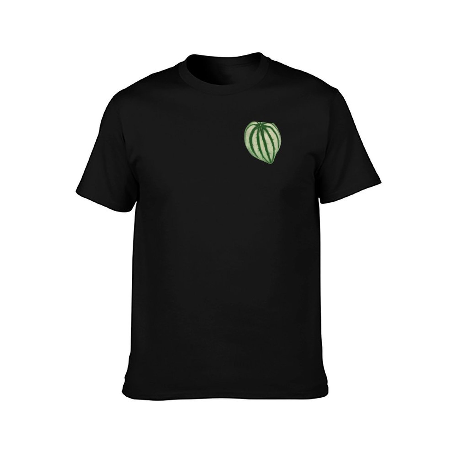 Watermeloen Peperomia T-shirt  - Peperomia Watermelon recensie en prijs
