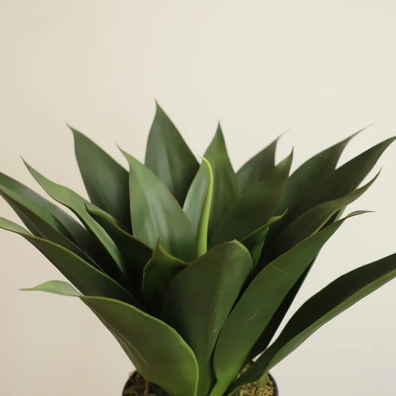 Kunstmatige Aloë Vera plant in - Aloe Vera Pot recensie en prijs