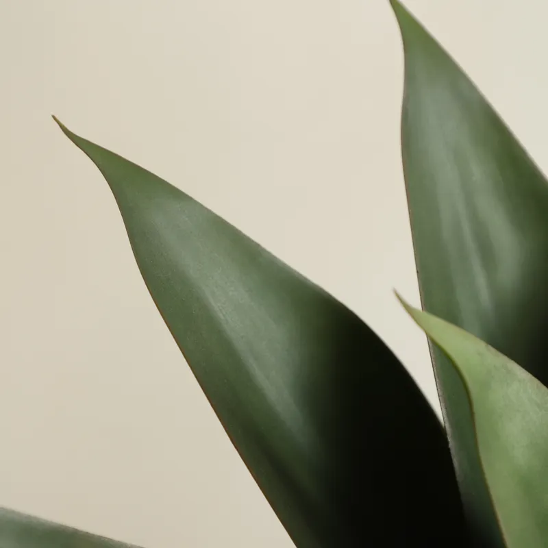 Kunstmatige Aloë Vera plant in - Aloe Vera Pot recensie en prijs